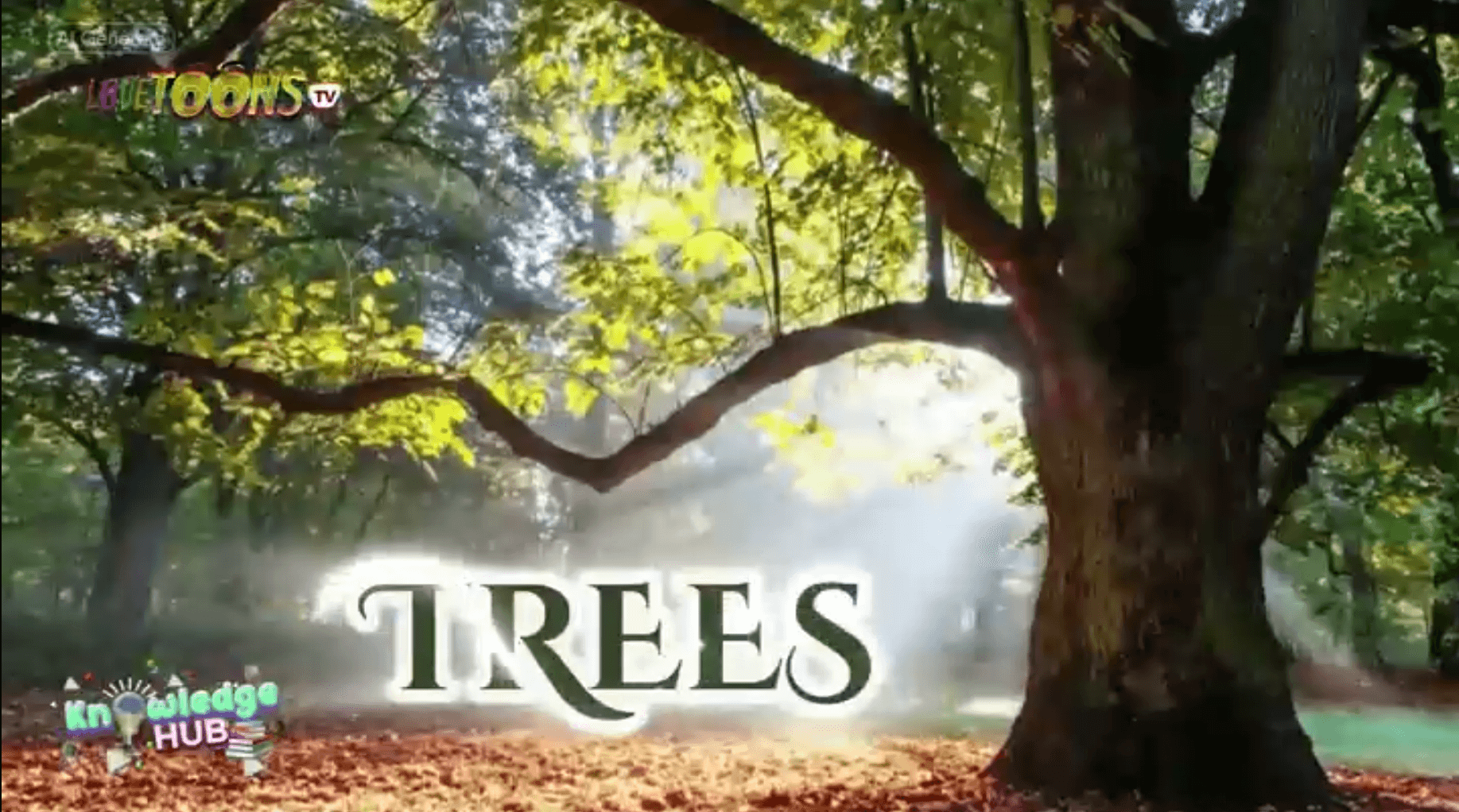 Trees